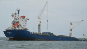 All Container Ship Wrecks Image