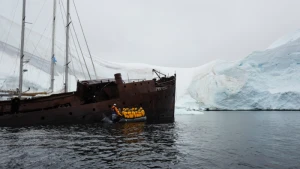 All Factory Ship Wrecks Image