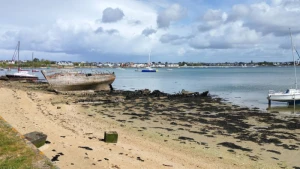 Shallowest Wrecks That Can Be Seen From the Surface or Google Maps Image