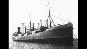 Strombus (Part Of) Wreck Image